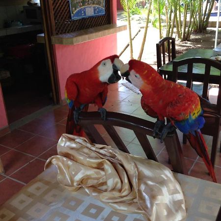 Hotel El Paraiso Escondido - Costa Rica Jaco Luaran gambar