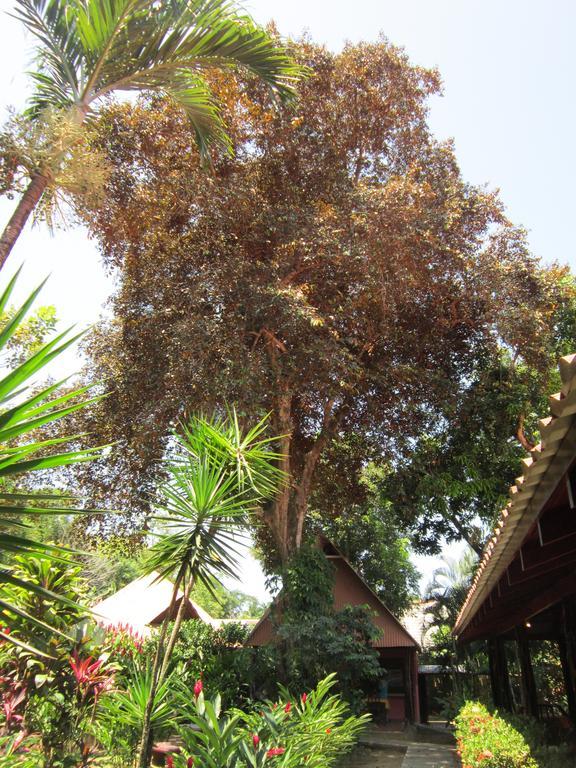 Hotel El Paraiso Escondido - Costa Rica Jaco Bilik gambar