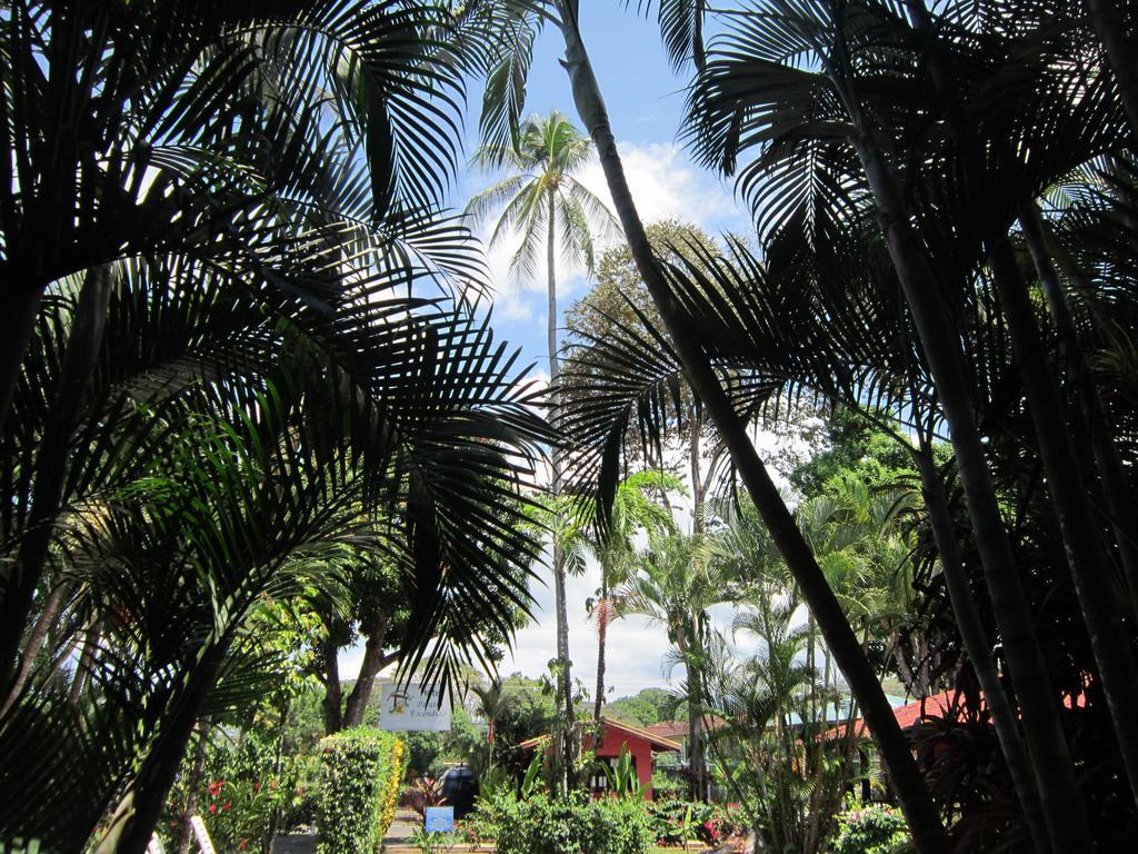 Hotel El Paraiso Escondido - Costa Rica Jaco Luaran gambar