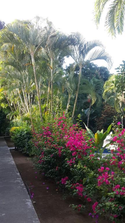 Hotel El Paraiso Escondido - Costa Rica Jaco Luaran gambar