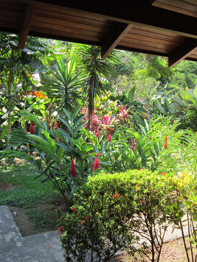Hotel El Paraiso Escondido - Costa Rica Jaco Luaran gambar